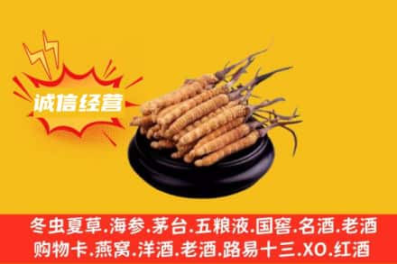 宜宾回收冬虫夏草